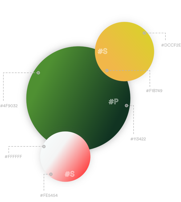 Synclovis Systems Top mobile and web application developement company- Homeocare Ui color scheme