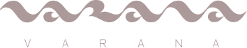 Vector 3